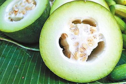 尿壶吃瓜,一场意外的吃瓜之旅