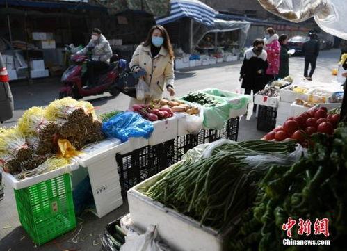 郑州菜市场爆料新闻视频,视频揭露惊人一幕