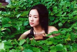 最爱裸体的明星,最爱裸体的明星，盘点娱乐圈裸戏担当