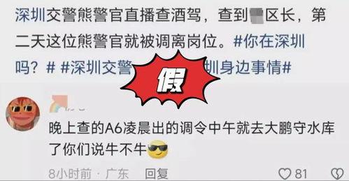 网红普法栏目名称,法律知识传播新风尚