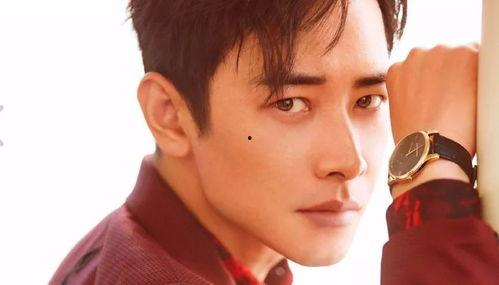 罗晋大明星,星光璀璨的影视巨星之路