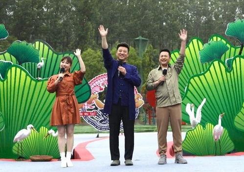 随风娱乐爆料视频大全最新,最新爆料视频大盘点