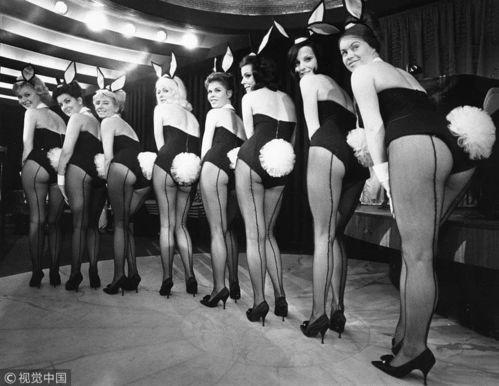 头条兔女郎,头条聚焦时尚潮流新宠