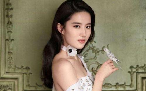 熟知的外国明星小说,揭秘外国明星的传奇人生