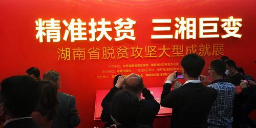 娄底头条新闻,聚焦娄底发展新动态，共绘美好未来画卷