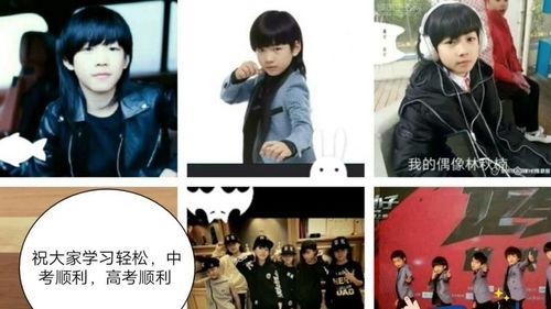 林秋楠和明星,一场跨越时空的星光盛宴