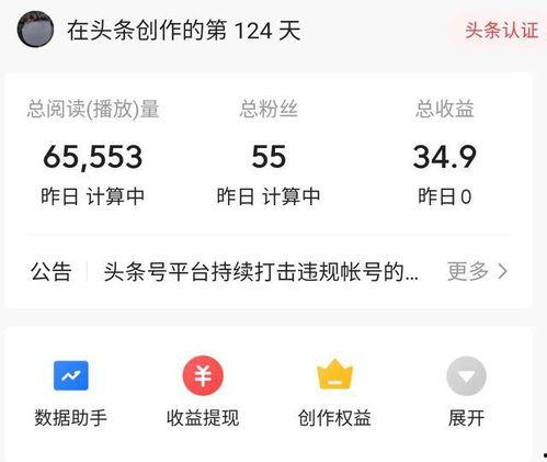 头条粉丝量怎么获得,揭秘如何打造爆款文章副标题