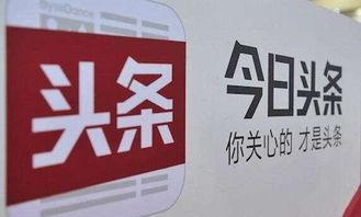 今日头条质量编辑面试,揭秘内容审核与质量把控之道