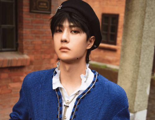 新疆维吾男明星,璀璨星河中的璀璨明珠