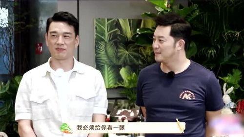 明星外甥和舅舅,明星外甥与舅舅的传奇故事