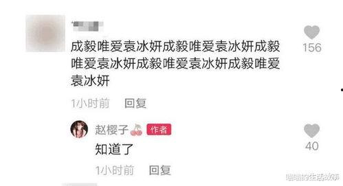 爆料赵樱子结婚视频,幸福时刻感动网友