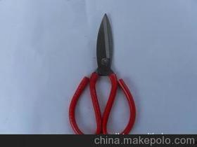 网红立剪刀,潮流风向标，引领时尚新潮流