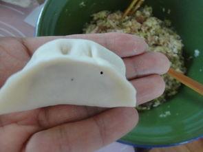 宝宝吃角瓜馅饺子,角瓜馅饺子，美味又健康