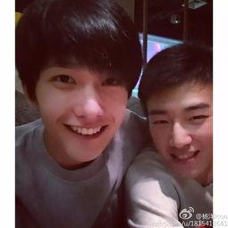 梨牙齿头像猜明星,揭秘梨牙齿头像背后的明星风采