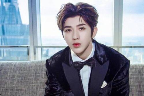 带有辛字男明星,揭秘那些星光熠熠的辛姓男明星